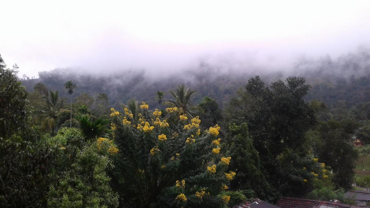Sadula Homestay Ella Luaran gambar