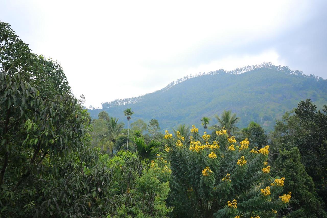 Sadula Homestay Ella Luaran gambar