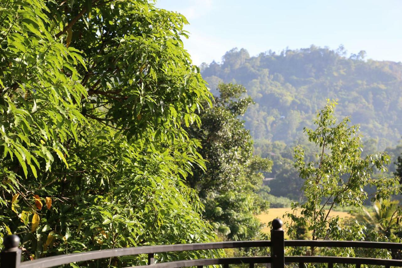 Sadula Homestay Ella Luaran gambar